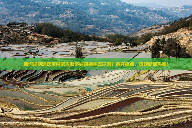 如何规划迪庆至内蒙古额济纳胡杨林五日游？避开痛点，玩转新词热词！
