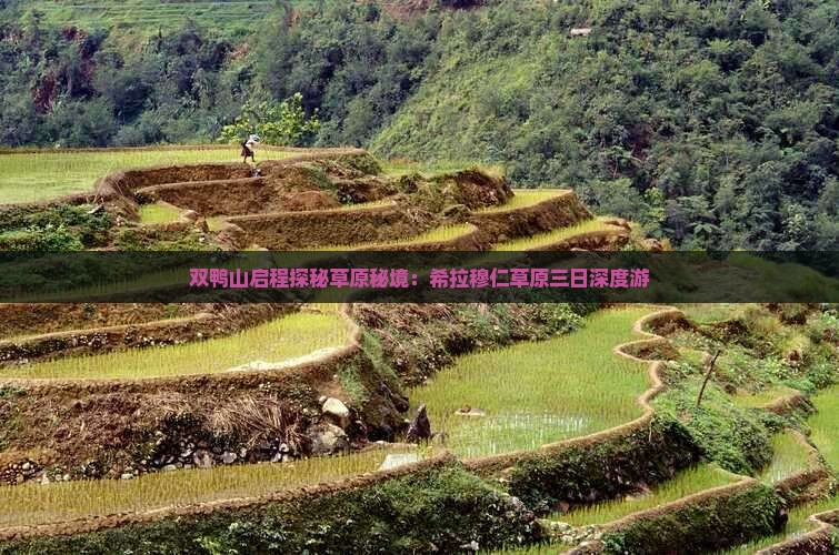 双鸭山启程探秘草原秘境：希拉穆仁草原三日深度游
