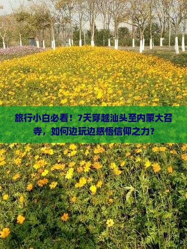 旅行小白必看！7天穿越汕头至内蒙大召寺，如何边玩边感悟信仰之力？