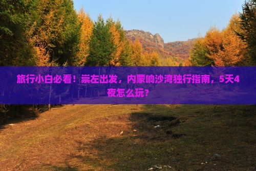 旅行小白必看！崇左出发，内蒙响沙湾独行指南，5天4夜怎么玩？