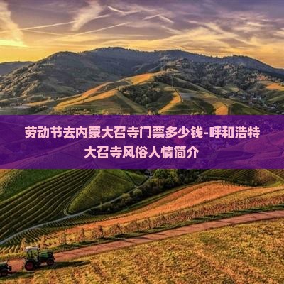劳动节去内蒙大召寺门票多少钱-呼和浩特大召寺风俗人情简介