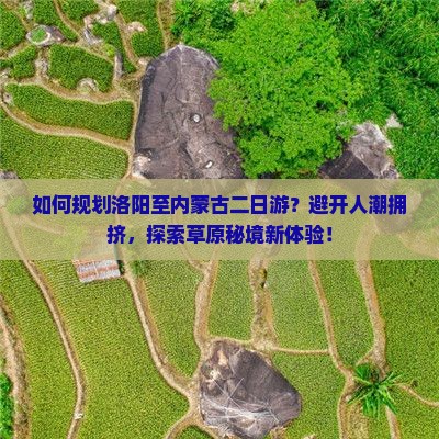 如何规划洛阳至内蒙古二日游？避开人潮拥挤，探索草原秘境新体验！