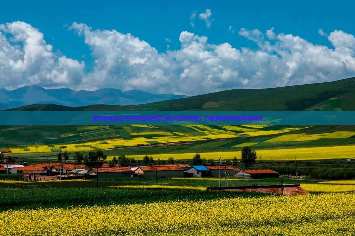 如何参加白山至内蒙古成吉思汗陵大型旅游团？行程安排及报名详情解析