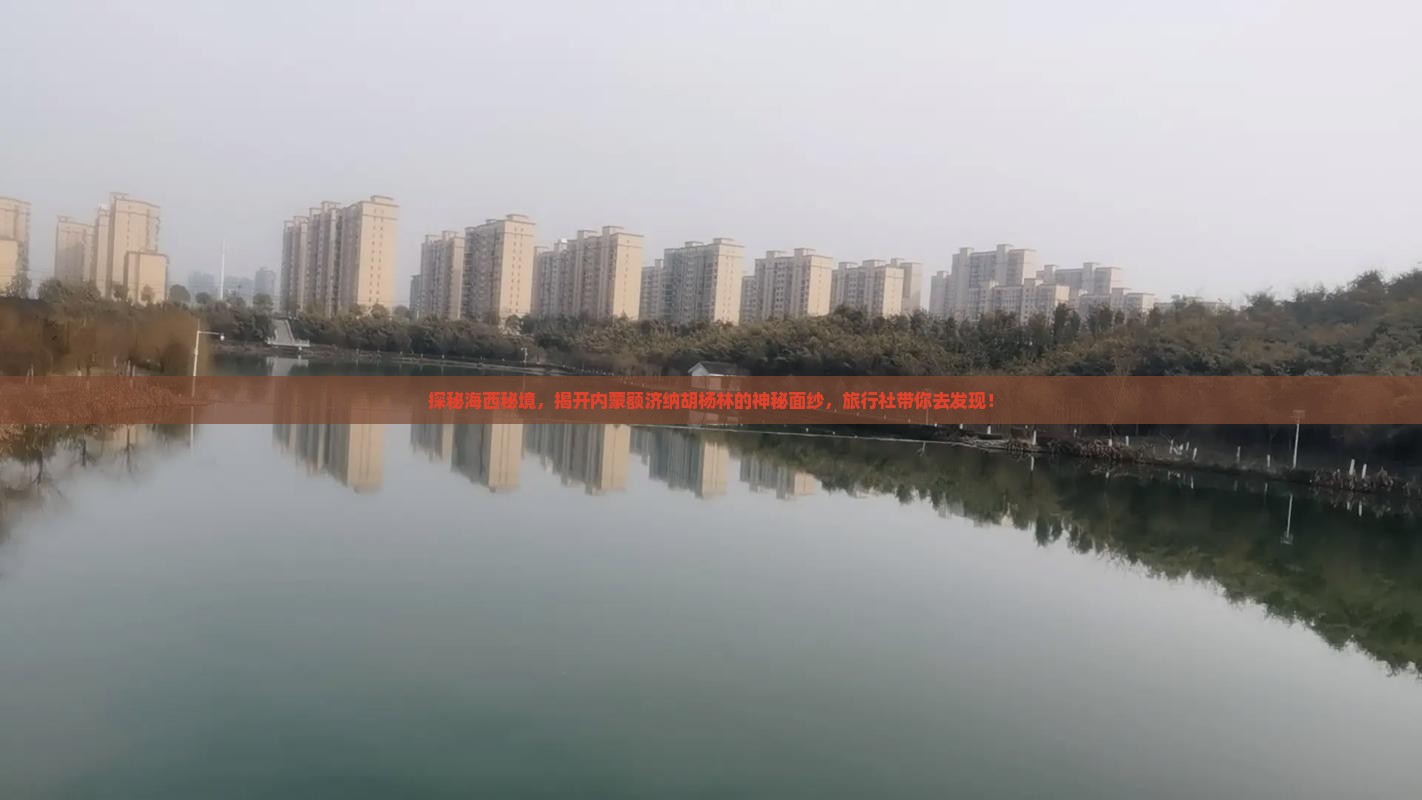 探秘海西秘境，揭开内蒙额济纳胡杨林的神秘面纱，旅行社带你去发现！
