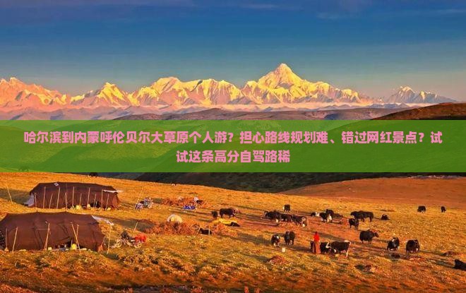 哈尔滨到内蒙呼伦贝尔大草原个人游？担心路线规划难、错过网红景点？试试这条高分自驾路稀