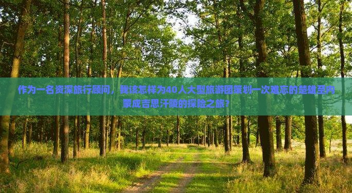 作为一名资深旅行顾问，我该怎样为40人大型旅游团策划一次难忘的楚雄至内蒙成吉思汗陵的探险之旅？