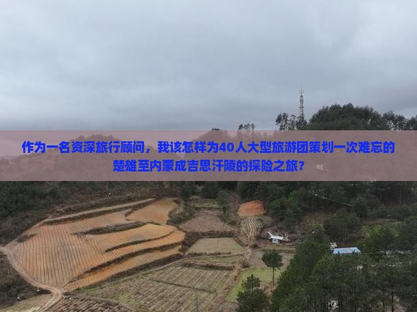 作为一名资深旅行顾问，我该怎样为40人大型旅游团策划一次难忘的楚雄至内蒙成吉思汗陵的探险之旅？