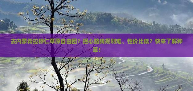 去内蒙希拉穆仁草原自由团？担心路线规划难、性价比低？快来了解种草！