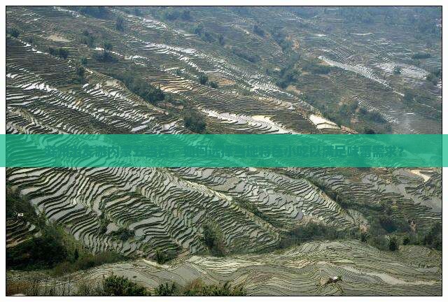 滁州出发游内蒙五当召，如何选择当地特色小吃以满足味蕾需求？