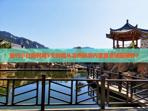 旅行小白如何用5天时间从滨州畅游内蒙额济纳胡杨林？