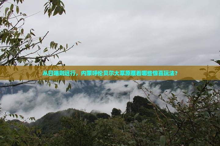 从日喀则远行，内蒙呼伦贝尔大草原藏着哪些惊喜玩法？