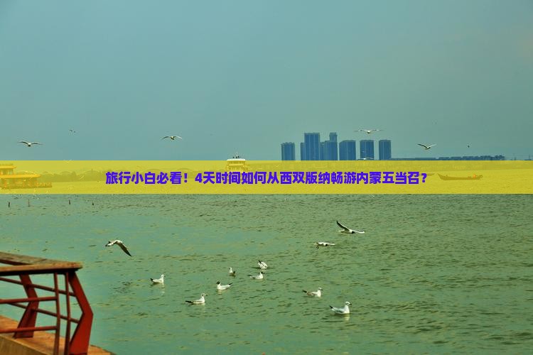 旅行小白必看！4天时间如何从西双版纳畅游内蒙五当召？