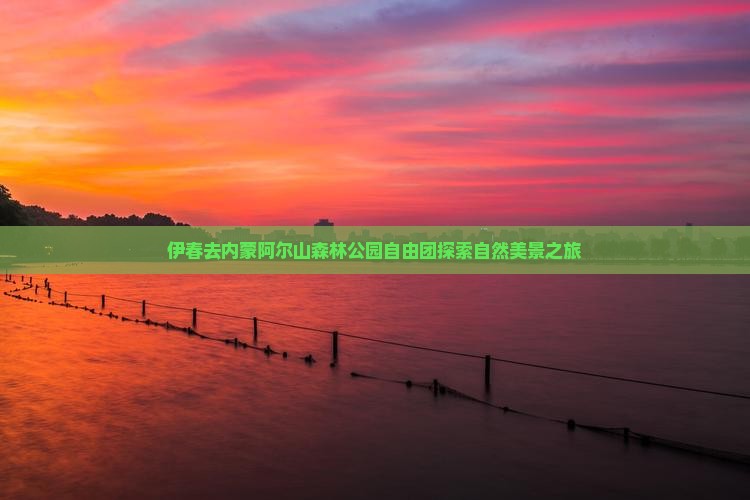 伊春去内蒙阿尔山森林公园自由团探索自然美景之旅