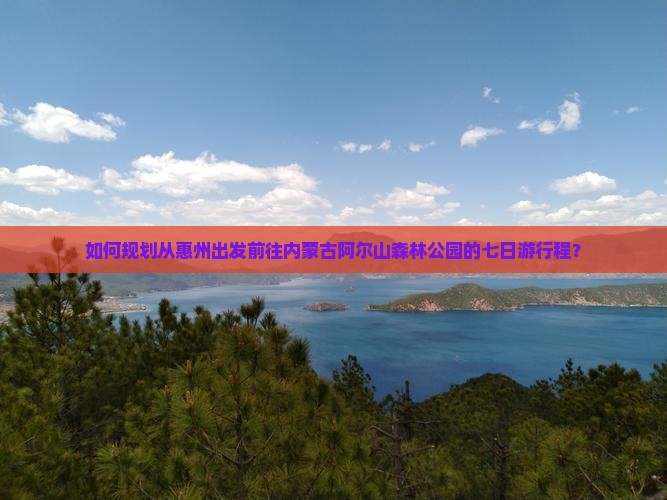 如何规划从惠州出发前往内蒙古阿尔山森林公园的七日游行程？