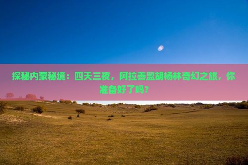 探秘内蒙秘境：四天三夜，阿拉善盟胡杨林奇幻之旅，你准备好了吗？