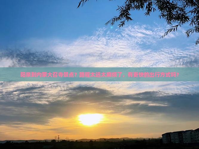 阳泉到内蒙大召寺景点？路程太远太麻烦了，有更快的出行方式吗？