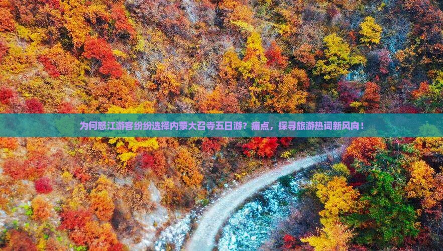 为何怒江游客纷纷选择内蒙大召寺五日游？痛点，探寻旅游热词新风向！