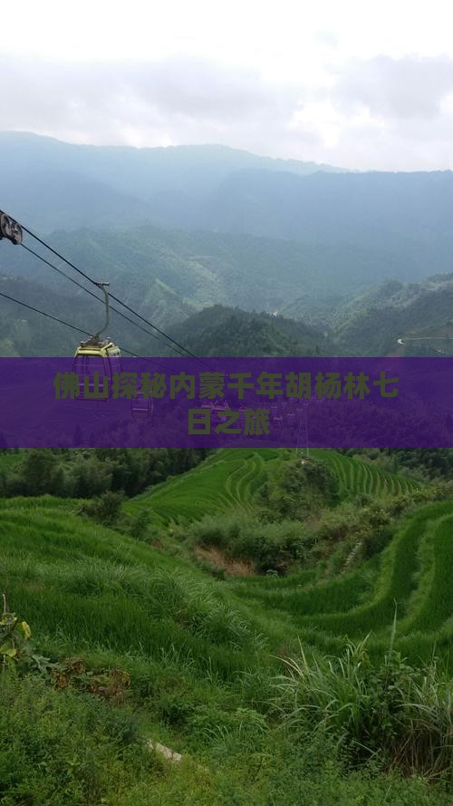 佛山探秘内蒙千年胡杨林七日之旅