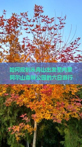 如何规划从舟山出发至内蒙阿尔山森林公园的六日游行程？