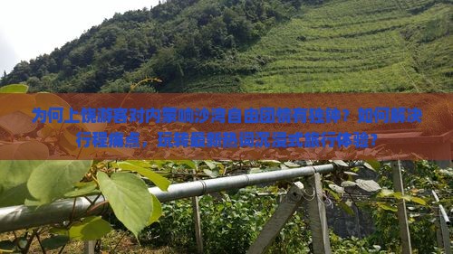 为何上饶游客对内蒙响沙湾自由团情有独钟？如何解决行程痛点，玩转最新热词沉浸式旅行体验？