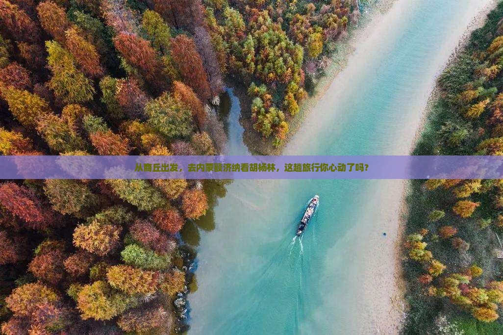 从商丘出发，去内蒙额济纳看胡杨林，这趟旅行你心动了吗？
