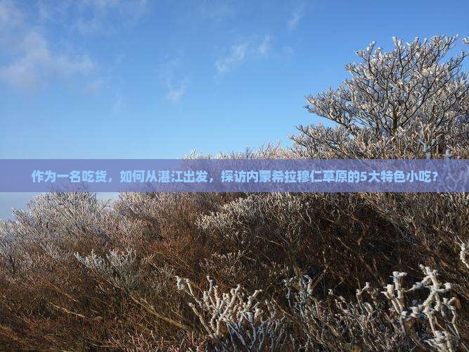 作为一名吃货，如何从湛江出发，探访内蒙希拉穆仁草原的5大特色小吃？
