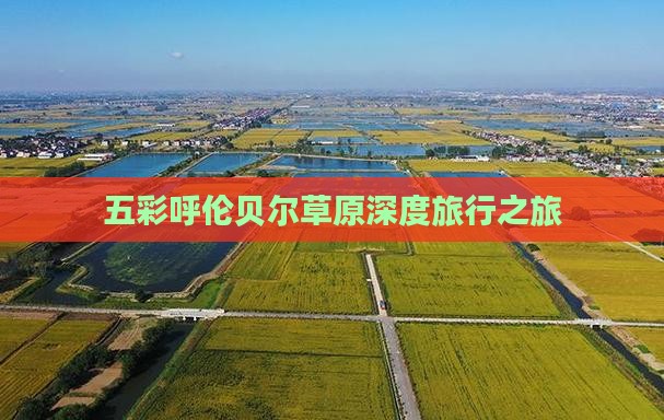五彩呼伦贝尔草原深度旅行之旅