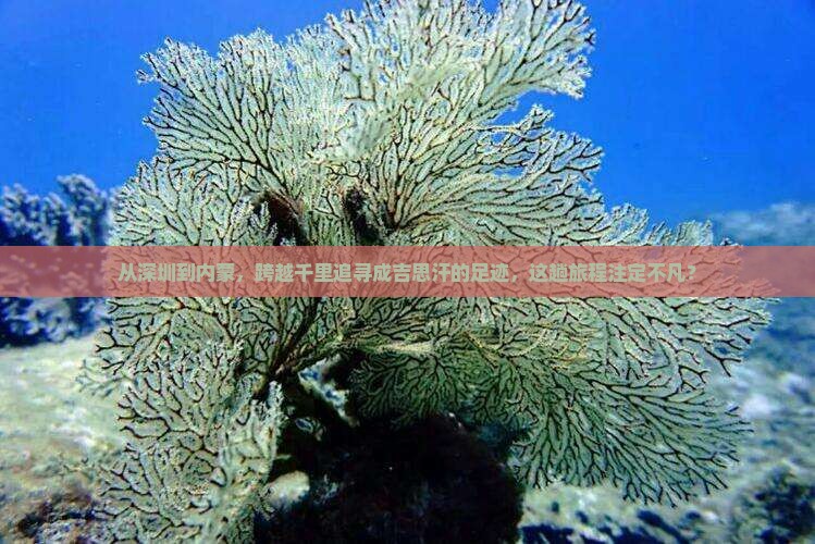 从深圳到内蒙，跨越千里追寻成吉思汗的足迹，这趟旅程注定不凡？