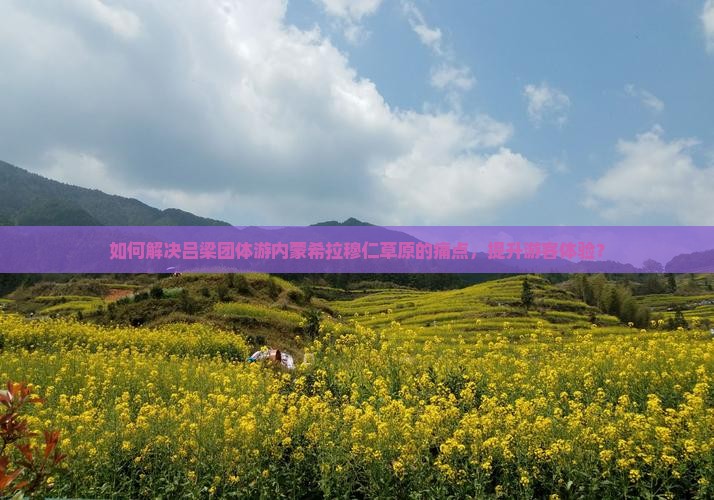 如何解决吕梁团体游内蒙希拉穆仁草原的痛点，提升游客体验？