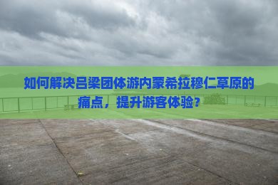 如何解决吕梁团体游内蒙希拉穆仁草原的痛点，提升游客体验？
