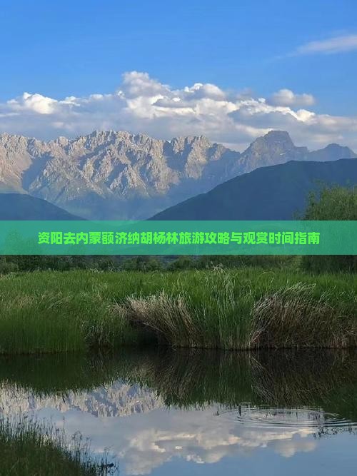 资阳去内蒙额济纳胡杨林旅游攻略与观赏时间指南
