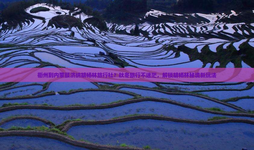 衢州到内蒙额济纳胡杨林旅行社？秋冬旅行不迷茫，解锁胡杨林秘境新玩法