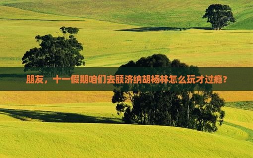 朋友，十一假期咱们去额济纳胡杨林怎么玩才过瘾？