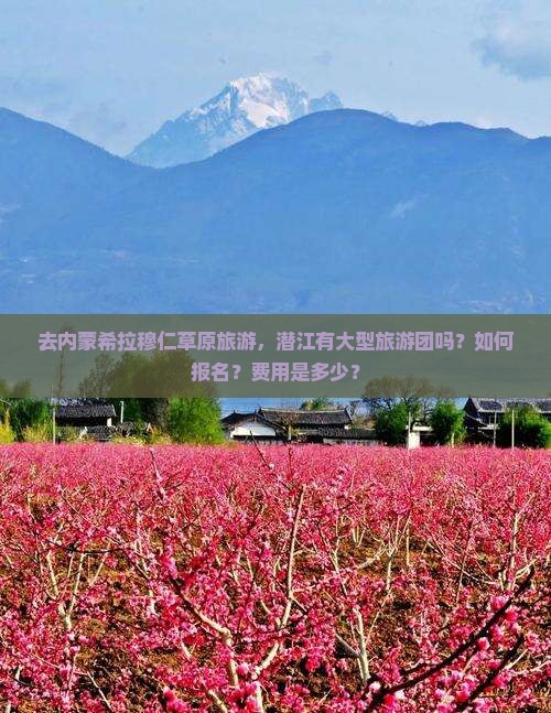 去内蒙希拉穆仁草原旅游，潜江有大型旅游团吗？如何报名？费用是多少？
