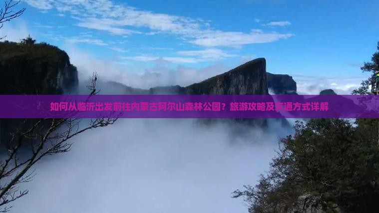 如何从临沂出发前往内蒙古阿尔山森林公园？旅游攻略及交通方式详解