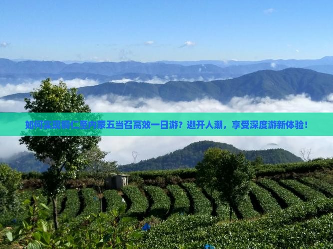 如何实现铜仁至内蒙五当召高效一日游？避开人潮，享受深度游新体验！