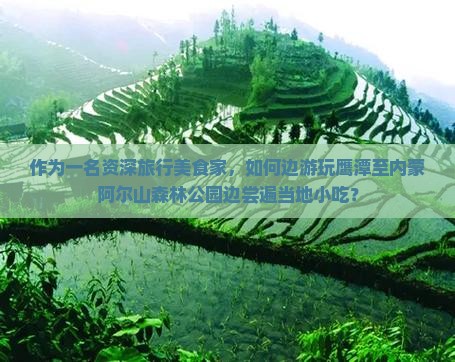 作为一名资深旅行美食家，如何边游玩鹰潭至内蒙阿尔山森林公园边尝遍当地小吃？
