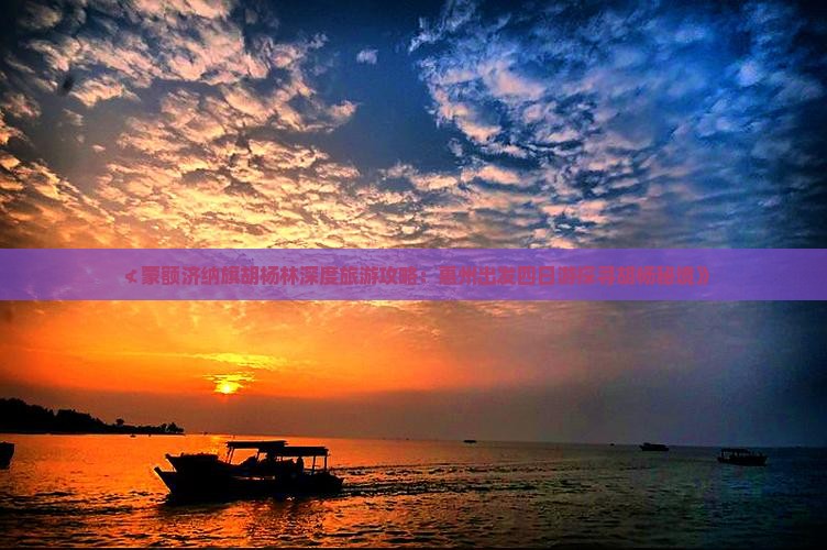 ≮蒙额济纳旗胡杨林深度旅游攻略：惠州出发四日游探寻胡杨秘境》