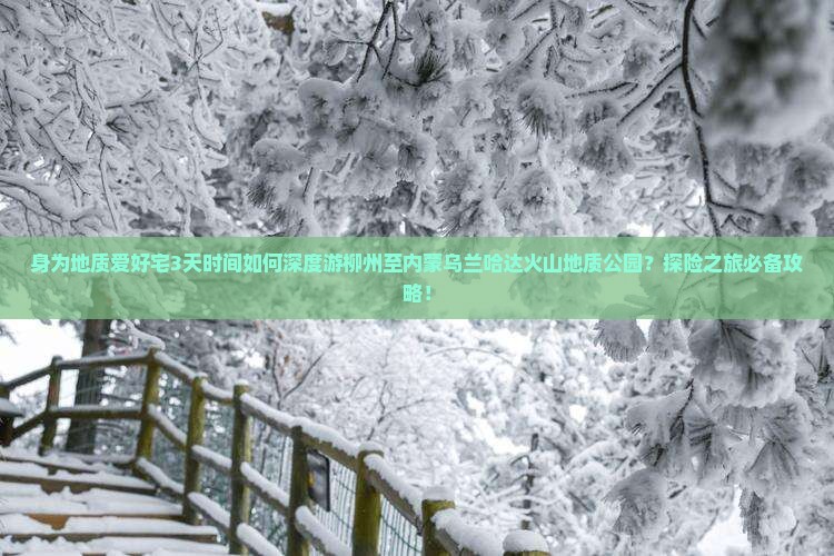 身为地质爱好宅3天时间如何深度游柳州至内蒙乌兰哈达火山地质公园？探险之旅必备攻略！