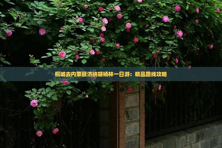 桐城去内蒙额济纳胡杨林一日游：精品路线攻略