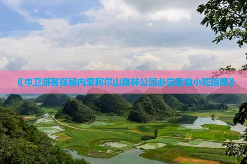 《中卫游客探秘内蒙阿尔山森林公园必尝美食小吃指南》