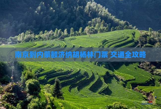 南京到内蒙额济纳胡杨林门票+交通全攻略