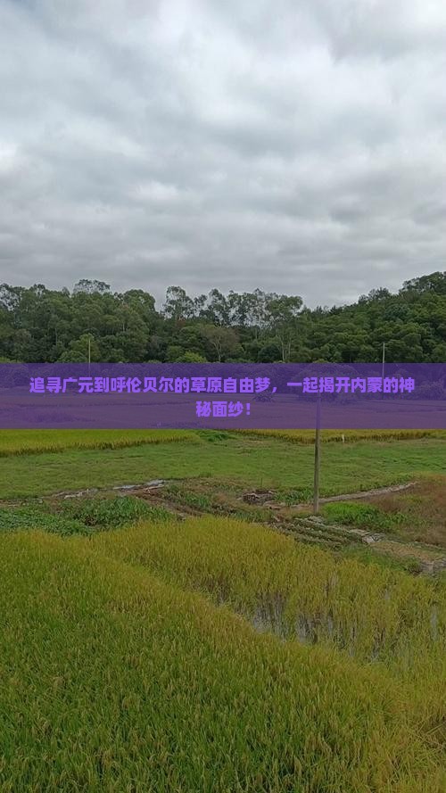 追寻广元到呼伦贝尔的草原自由梦，一起揭开内蒙的神秘面纱！