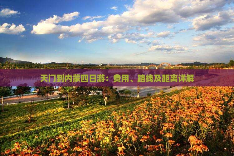 天门到内蒙四日游：费用、路线及距离详解