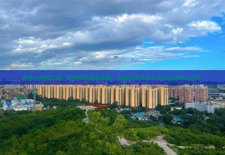 追寻心中的辽阔：锡林郭勒盟深度游，探秘呼伦贝尔大草原自由奇幻之旅！