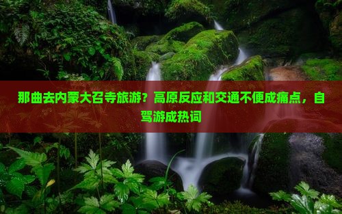 那曲去内蒙大召寺旅游？高原反应和交通不便成痛点，自驾游成热词