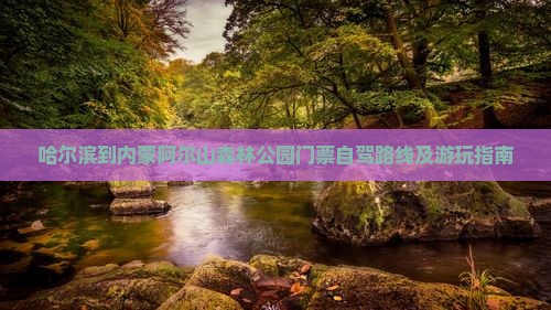 哈尔滨到内蒙阿尔山森林公园门票自驾路线及游玩指南
