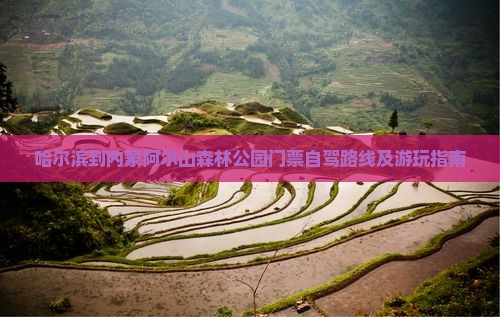 哈尔滨到内蒙阿尔山森林公园门票自驾路线及游玩指南