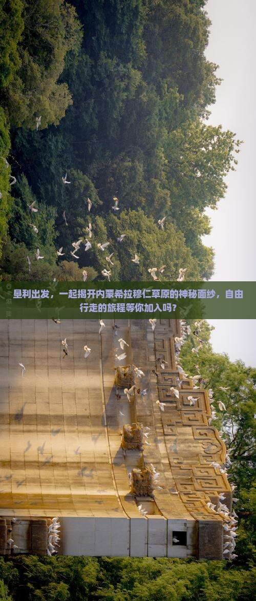 垦利出发，一起揭开内蒙希拉穆仁草原的神秘面纱，自由行走的旅程等你加入吗？