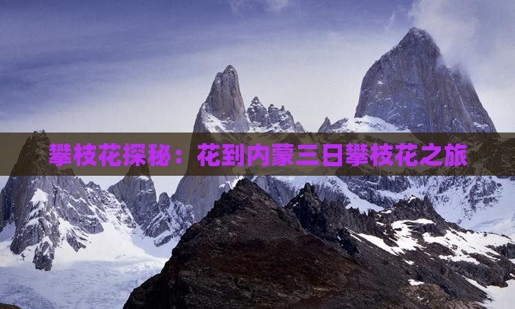 攀枝花探秘：花到内蒙三日攀枝花之旅